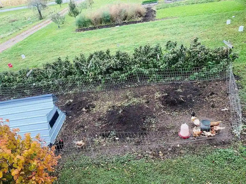 Over-fertilizing
