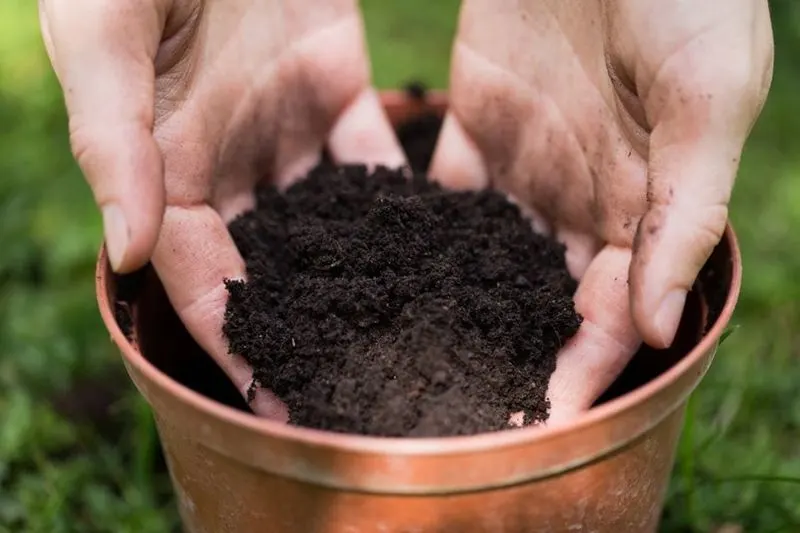 Using Poor Quality Soil