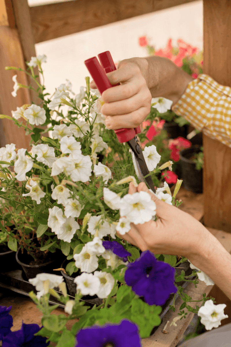 Neglecting Deadheading
