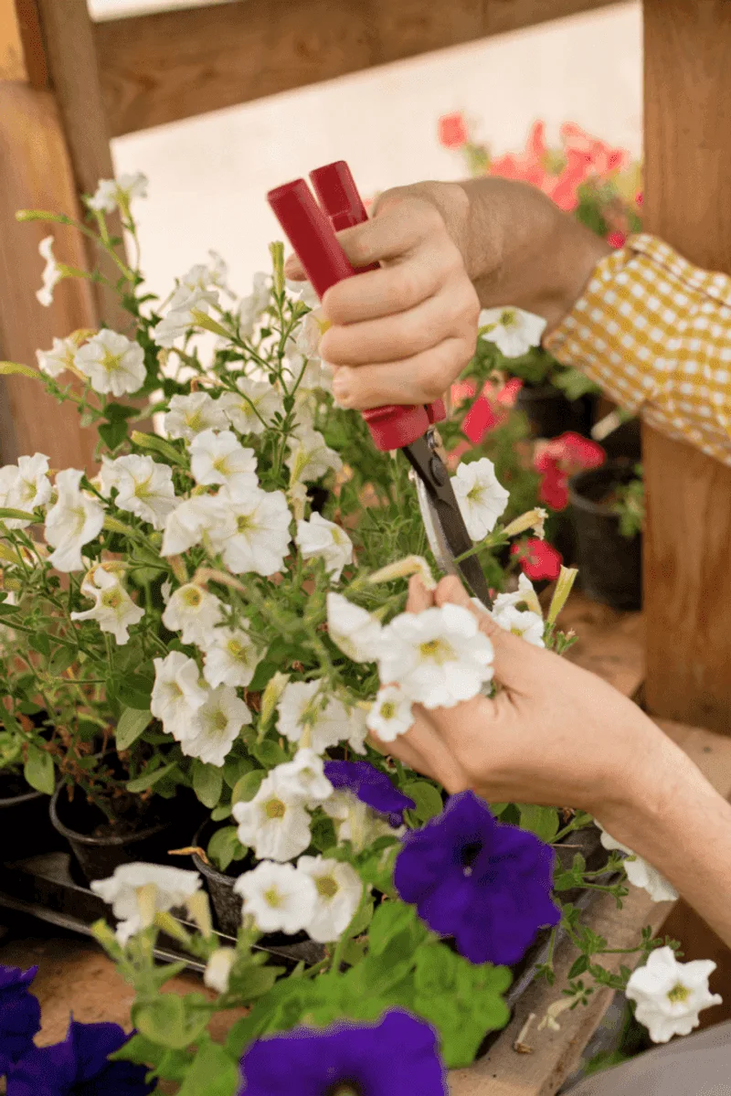 Neglecting Deadheading