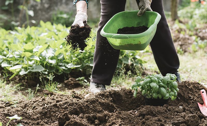 Skipping Soil Amendments