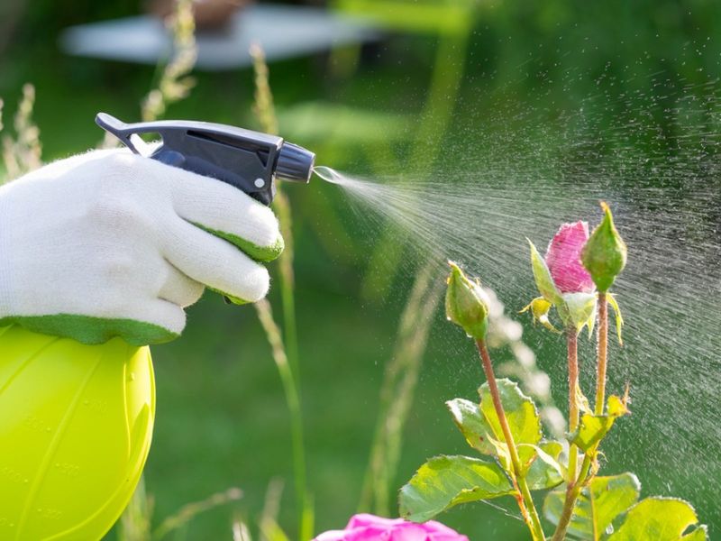 Using Too Many Chemicals