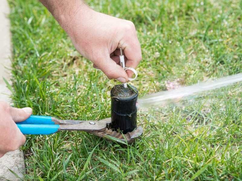 Adjust Irrigation Systems