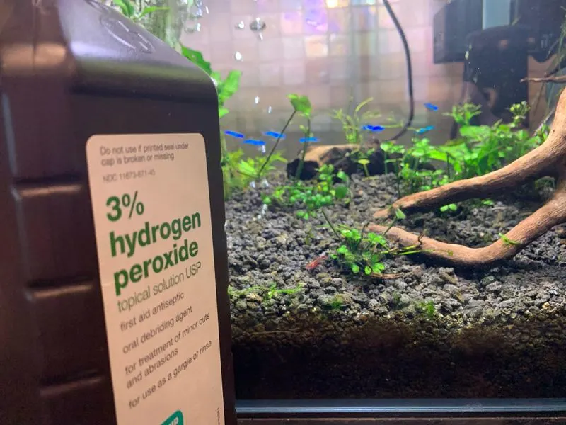 Soil pH Imbalance
