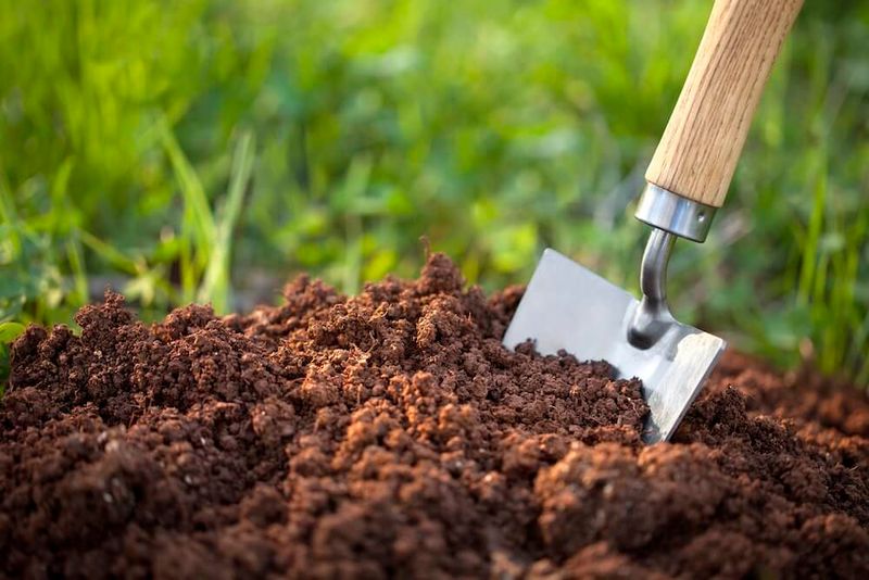 Ignoring Soil Quality