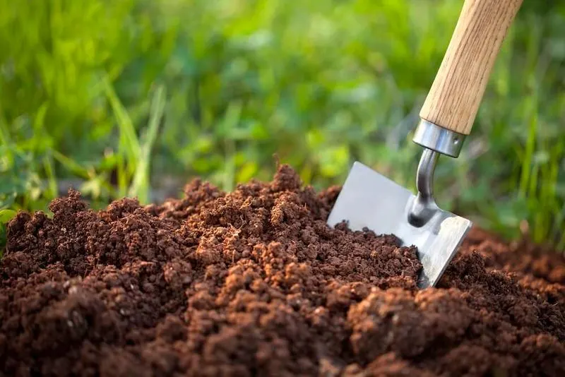 Ignoring Soil Quality