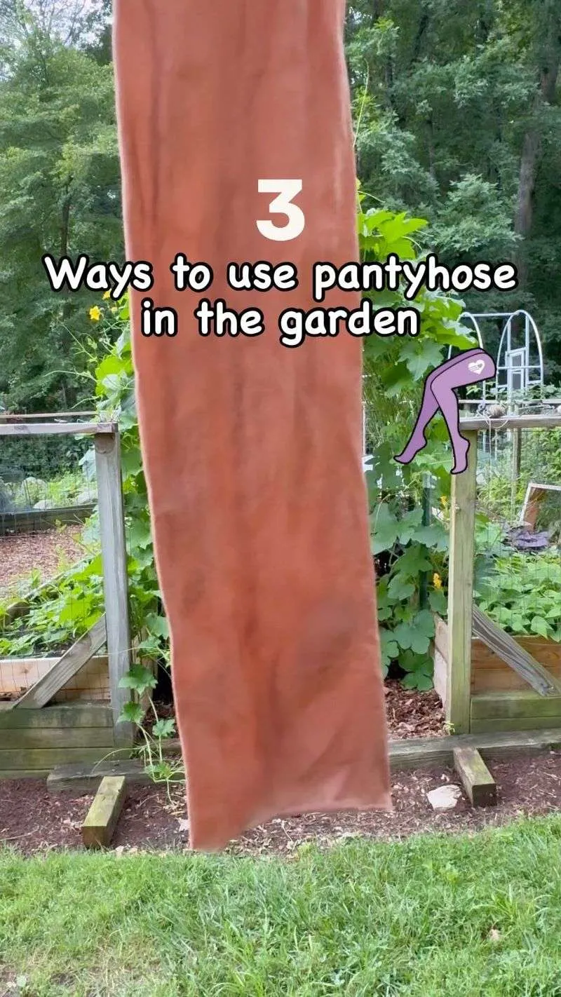 Pantyhose