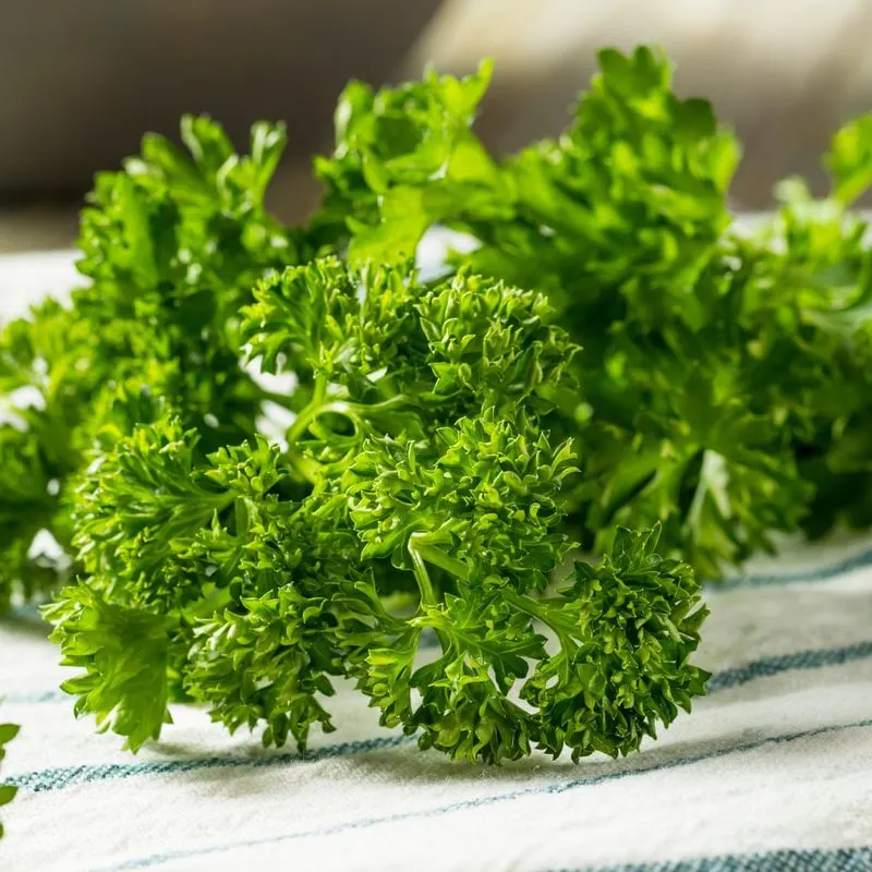 Parsley