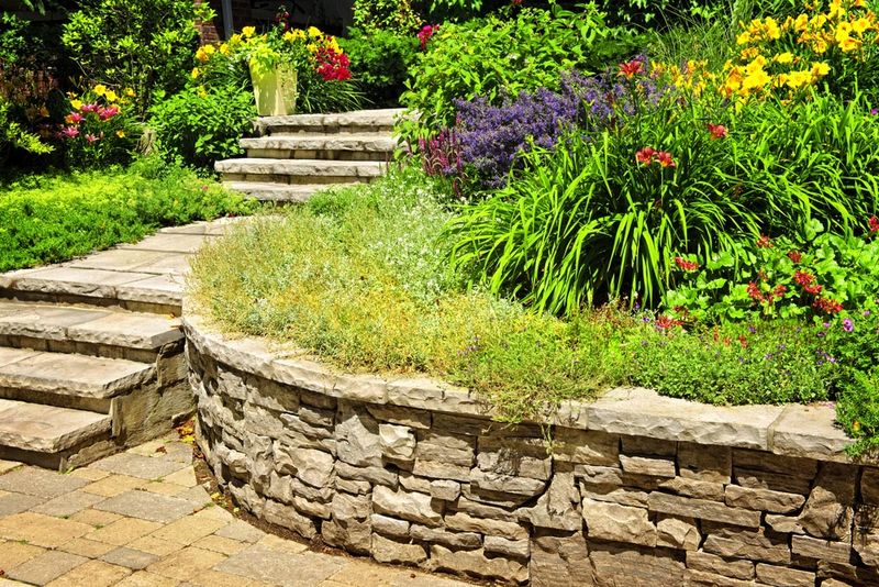 Paying Premiums for Common Plants