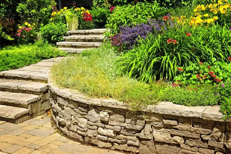 Paying Premiums for Common Plants