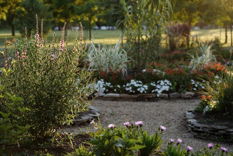 Mystical Moon Garden