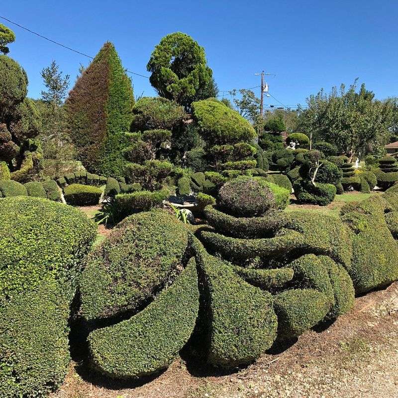 Pearl Fryar's Topiary Garden