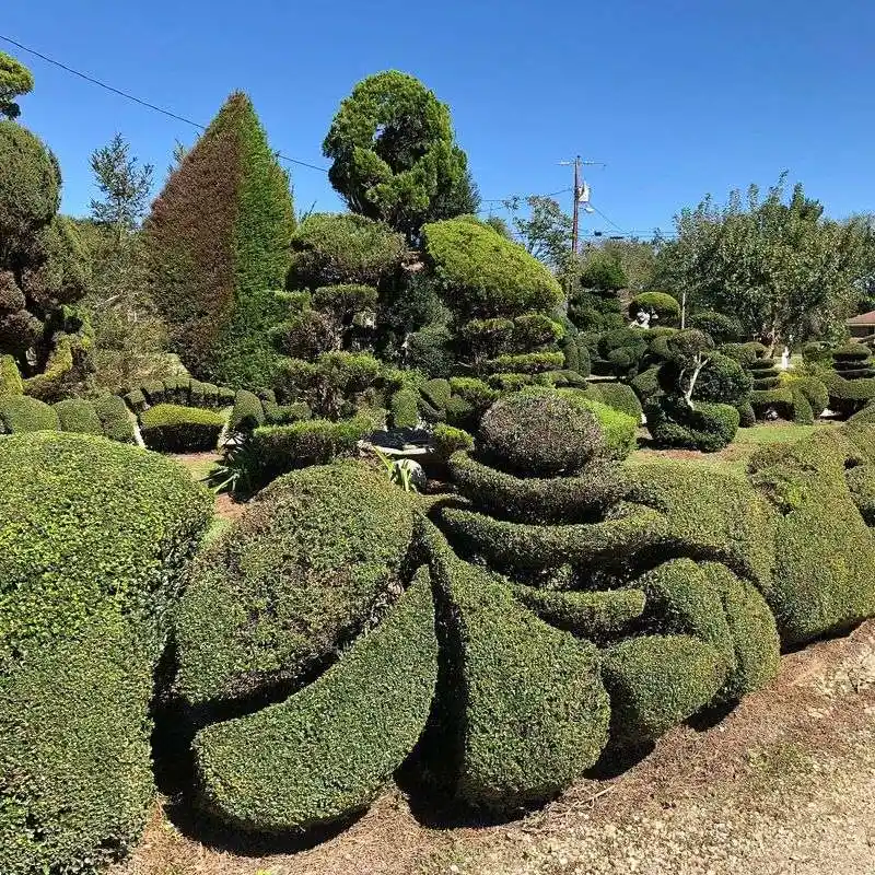 Pearl Fryar's Topiary Garden