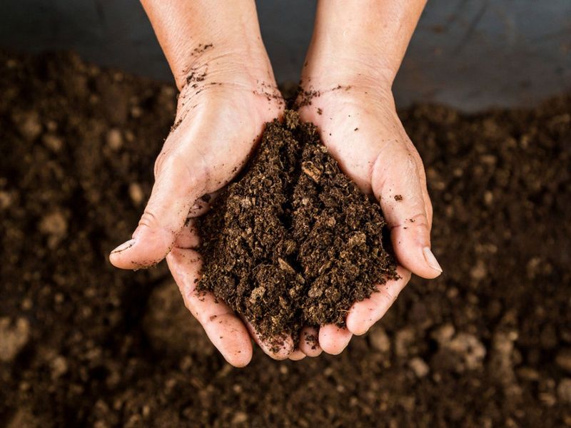 Peat Use