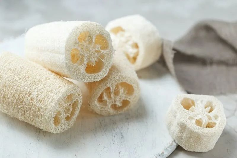 Store and Enjoy Your Sponges