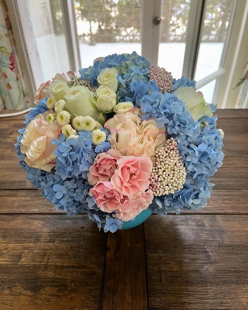 Hydrangea