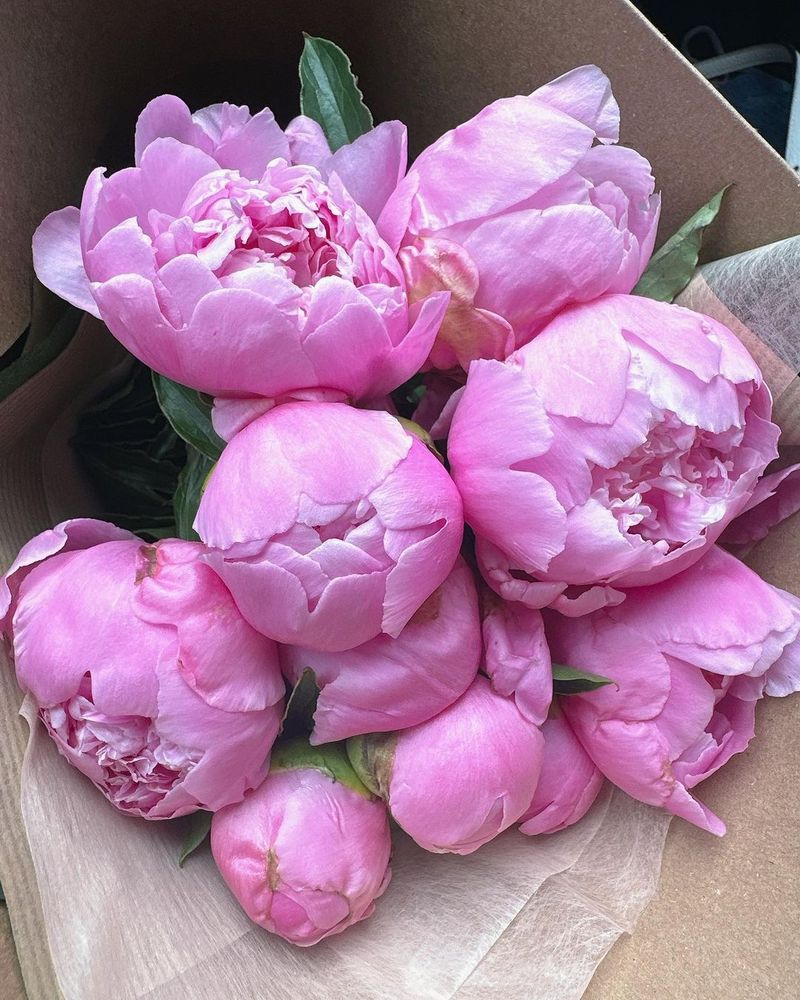 Peony