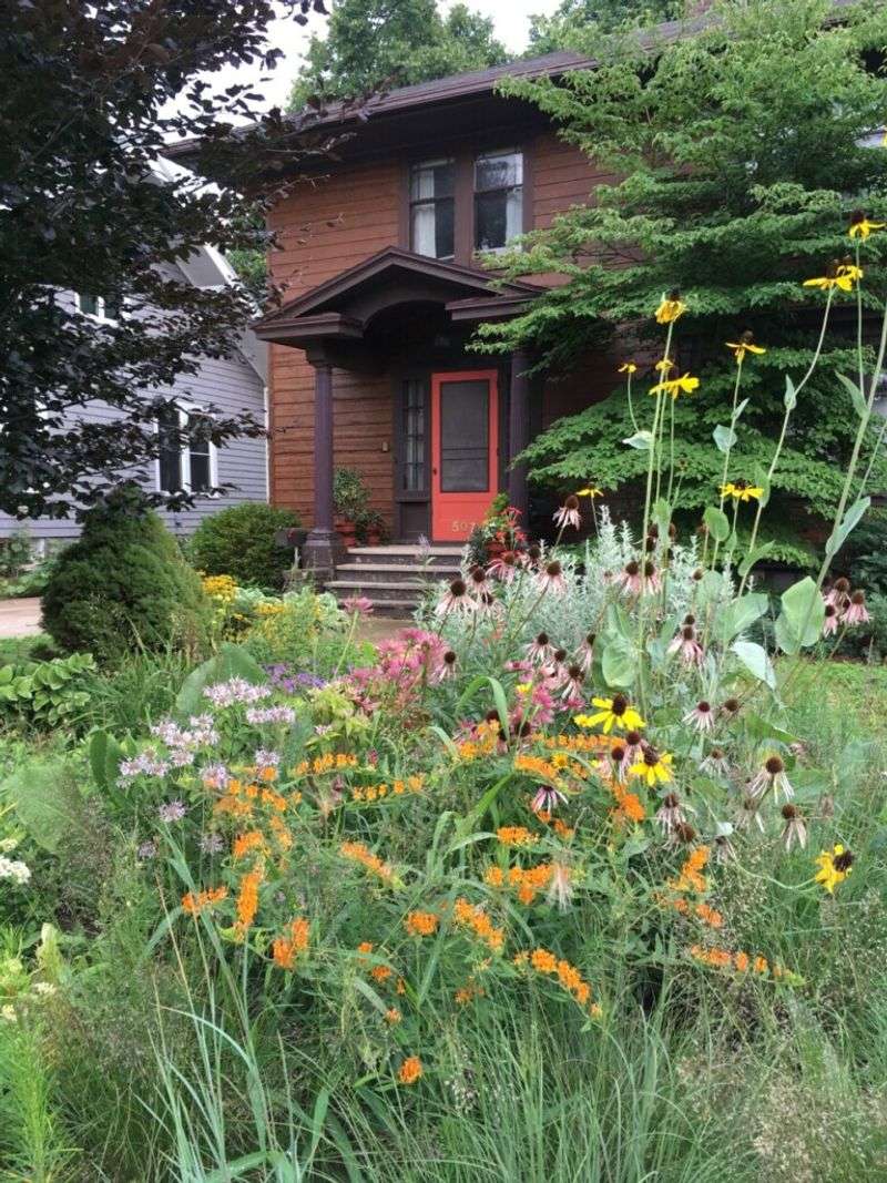 Native Plant Gardens