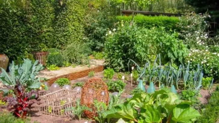 Permaculture Garden Magic: 14 Ways to Get a 100% Organic Backyard Harvest