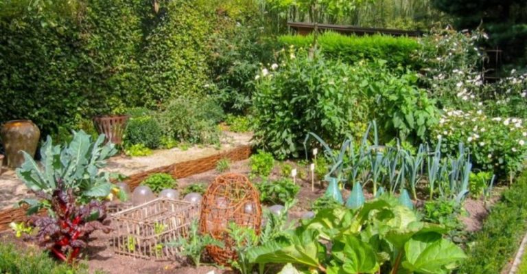 Permaculture Garden Magic: 14 Ways to Get a 100% Organic Backyard Harvest
