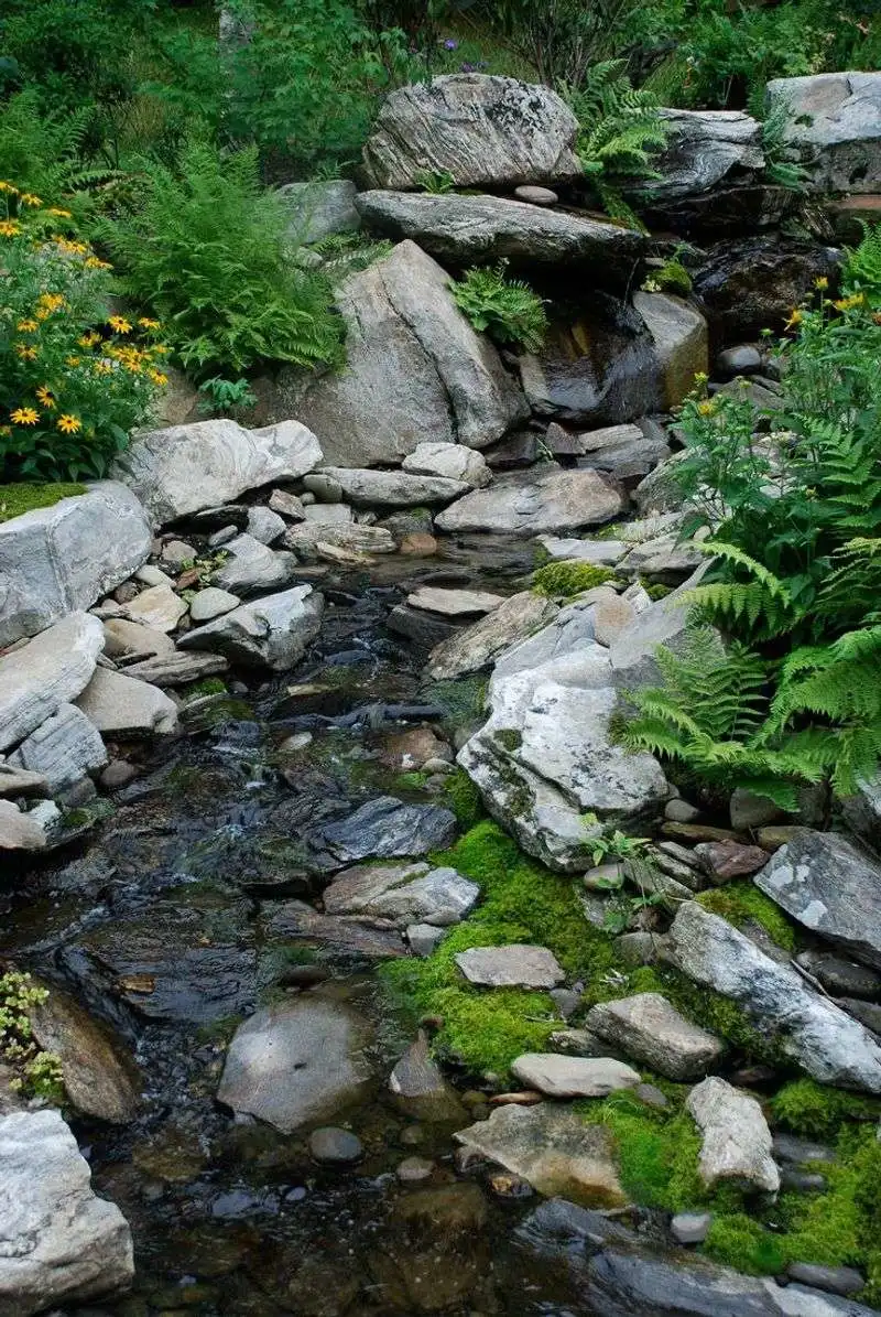 Natural Rock Stream