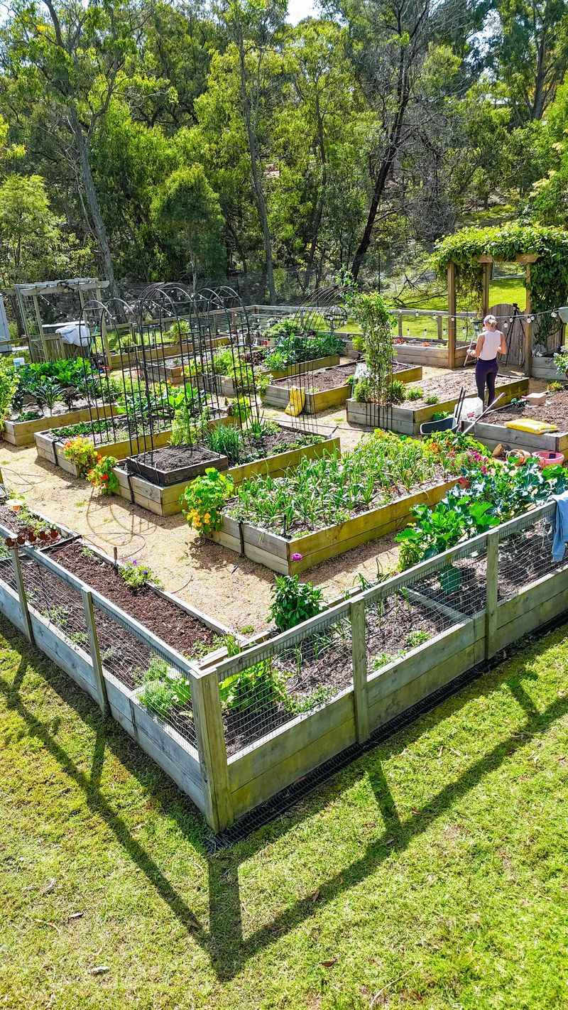 Personalizing Plant Placement