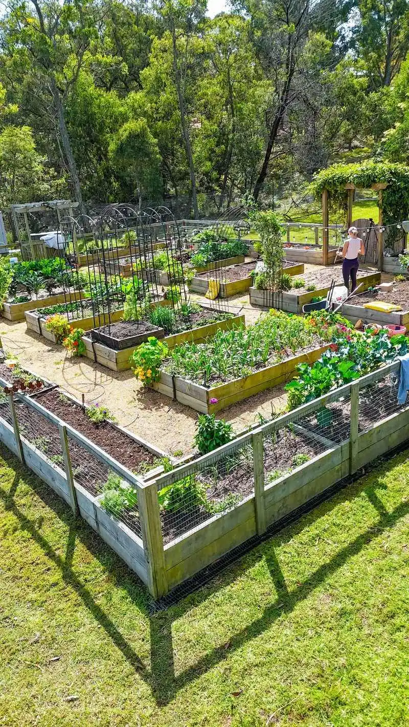 Personalizing Plant Placement
