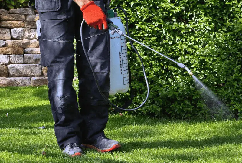Pest Control Measures