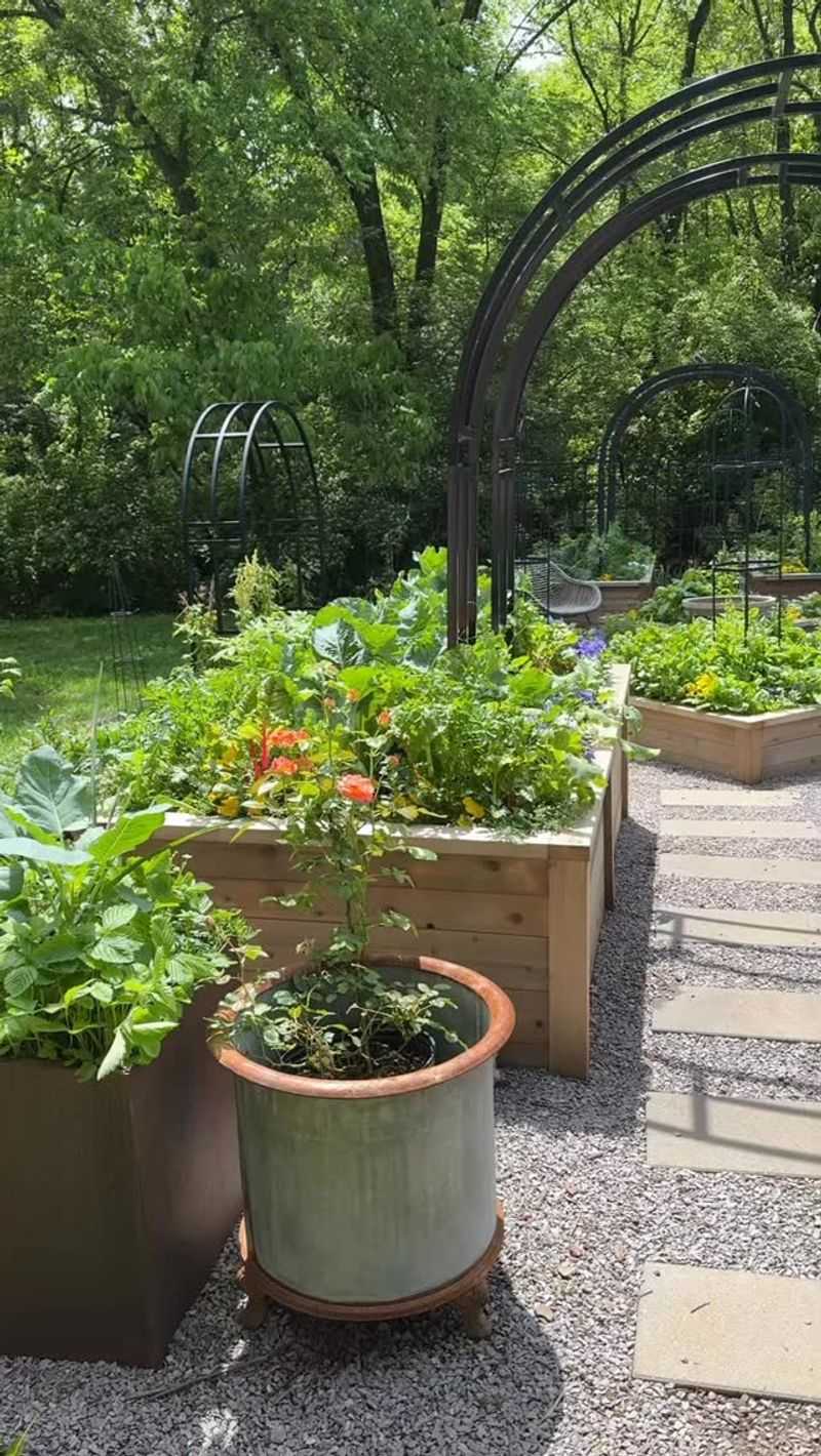 Pest-Free Gardens