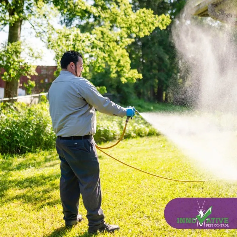 Pest Inspection