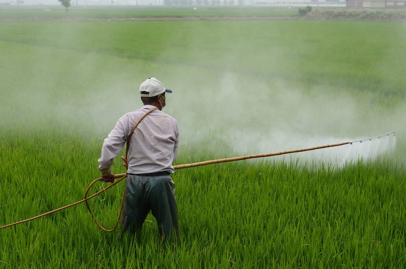 Pest and Disease Management