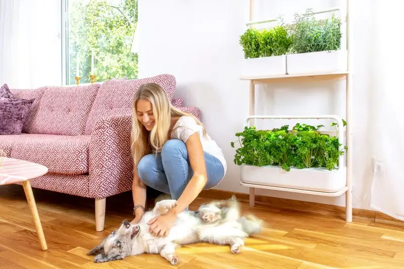 Pet-Friendly Vertical Garden