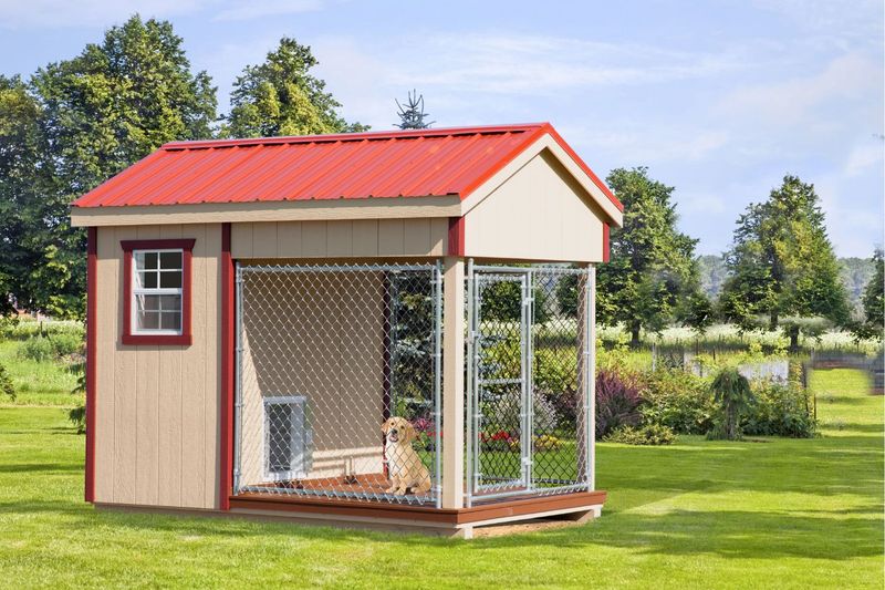 Pet Shelter