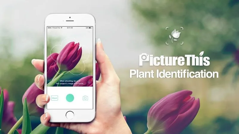 PictureThis: Plant Identifier