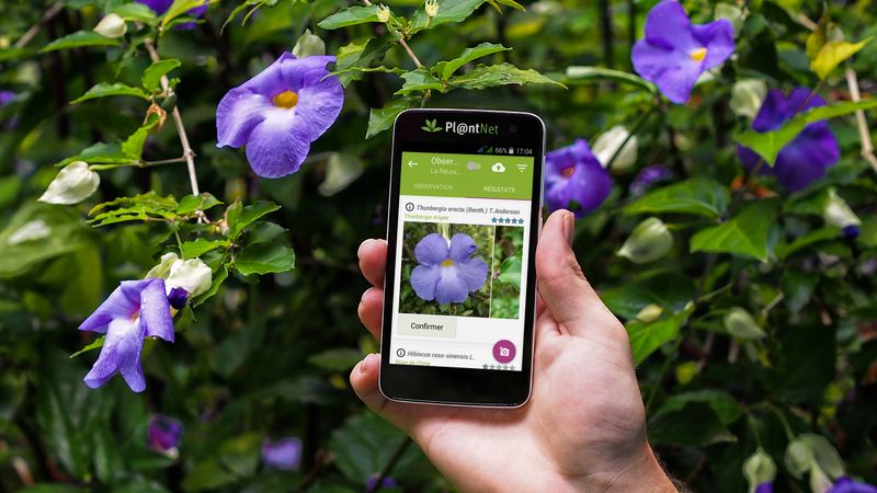 PlantNet
