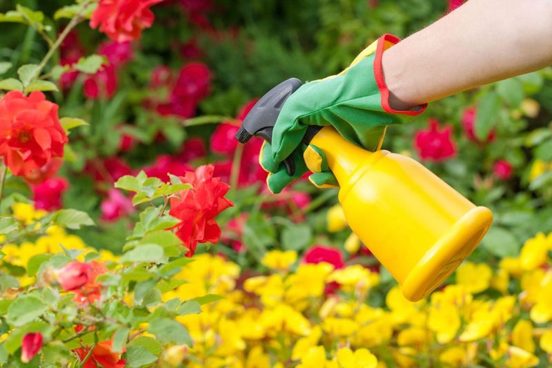 Applying Pesticides Midday