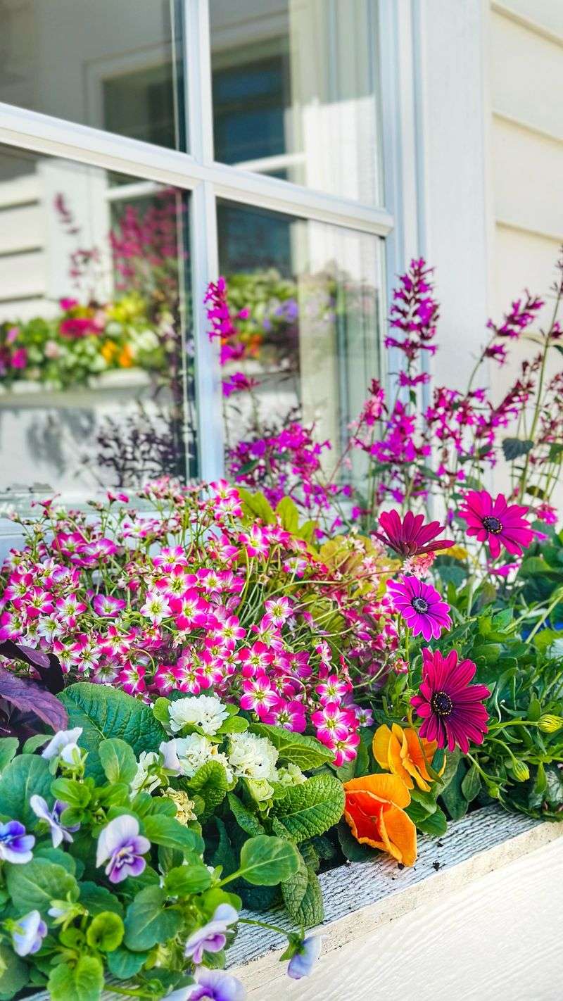 Planting Summer Annuals