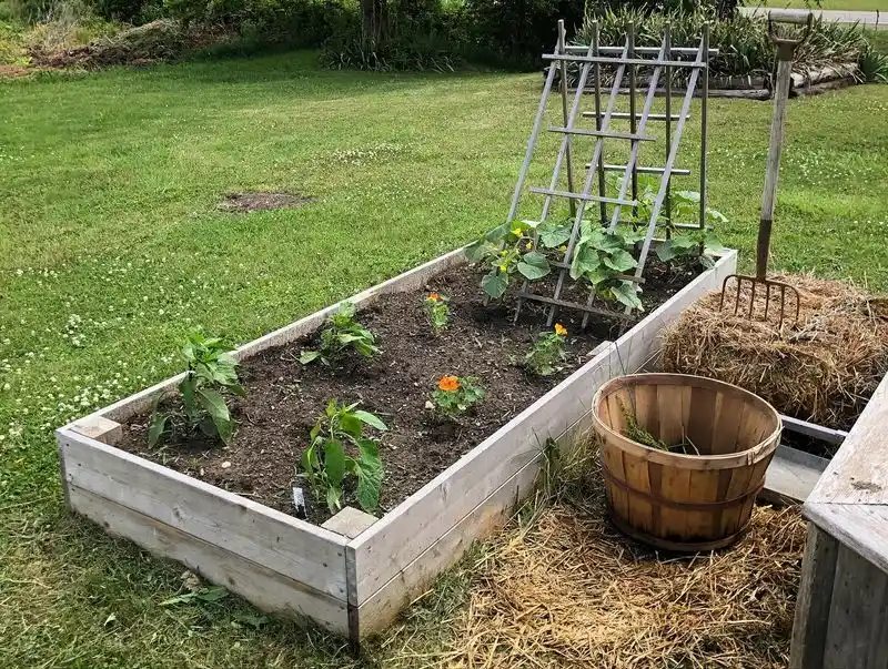Planting Too Close Together