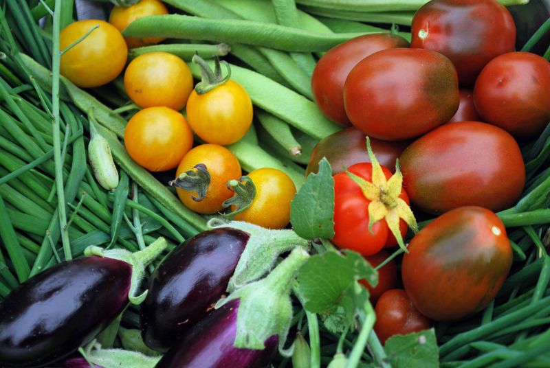 Planting Warm-Season Vegetables