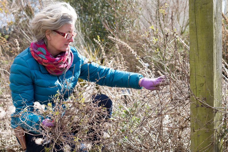 Neglecting Winter Protection