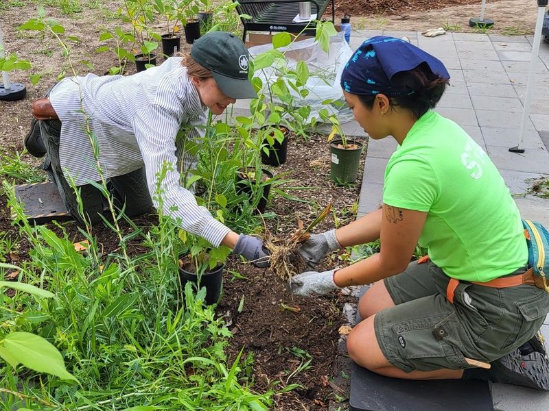 Planting in Community
