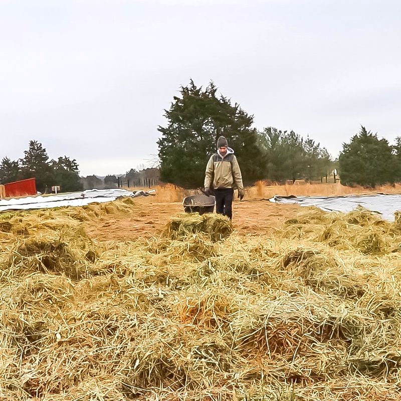 Hay