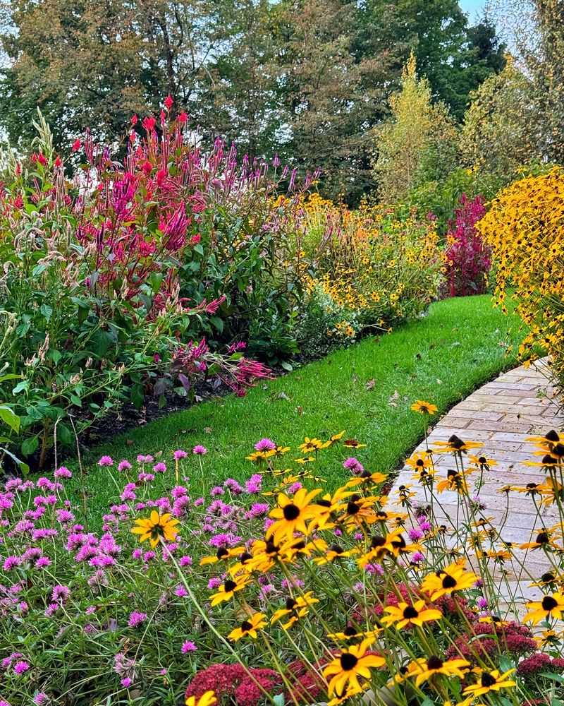Colorful Wildflower Patch