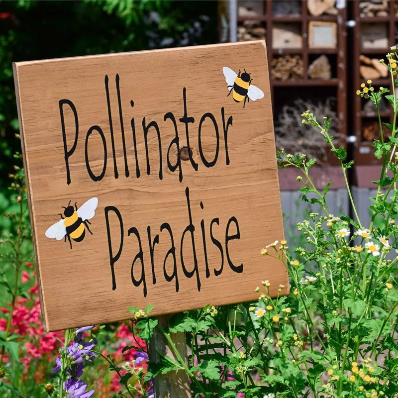 Pollinator’s Paradise