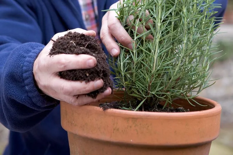 Incorrect Soil Type