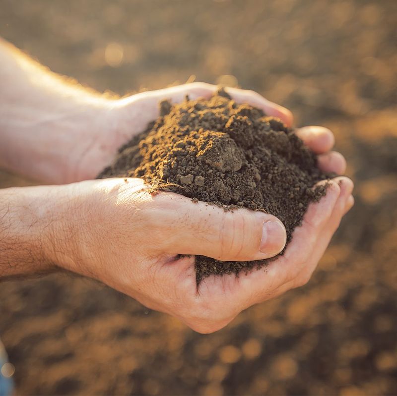 Poor Soil Quality