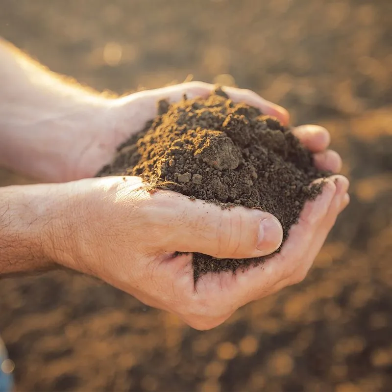 Poor Soil Quality