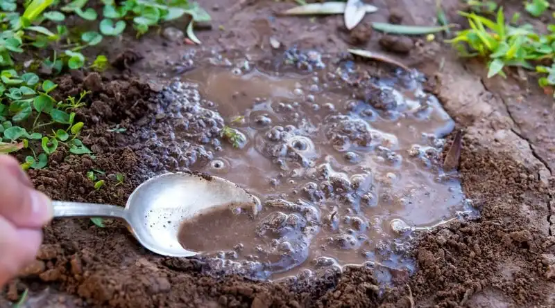 Poorly Draining Soil