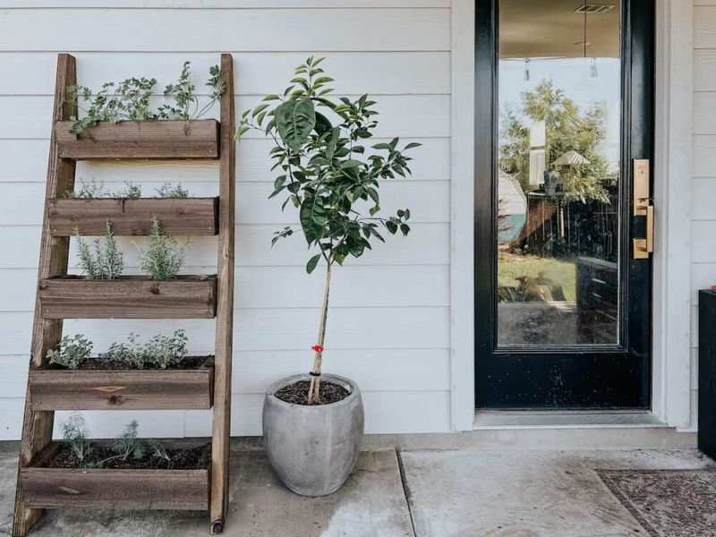 Herb Garden Planters