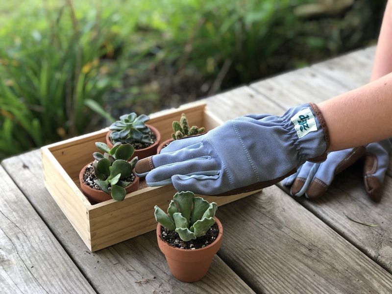 Portable Planting